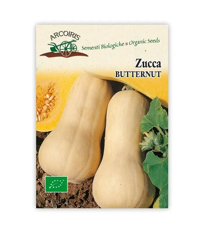 Semi da orto bio – Zucca Butternut