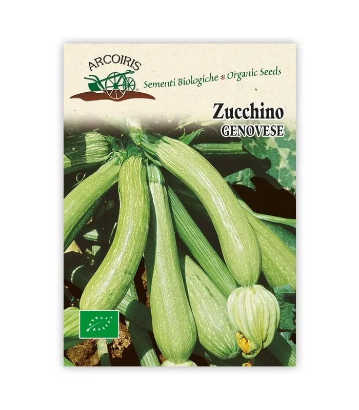 Semi da orto bio – Zucchino Genovese