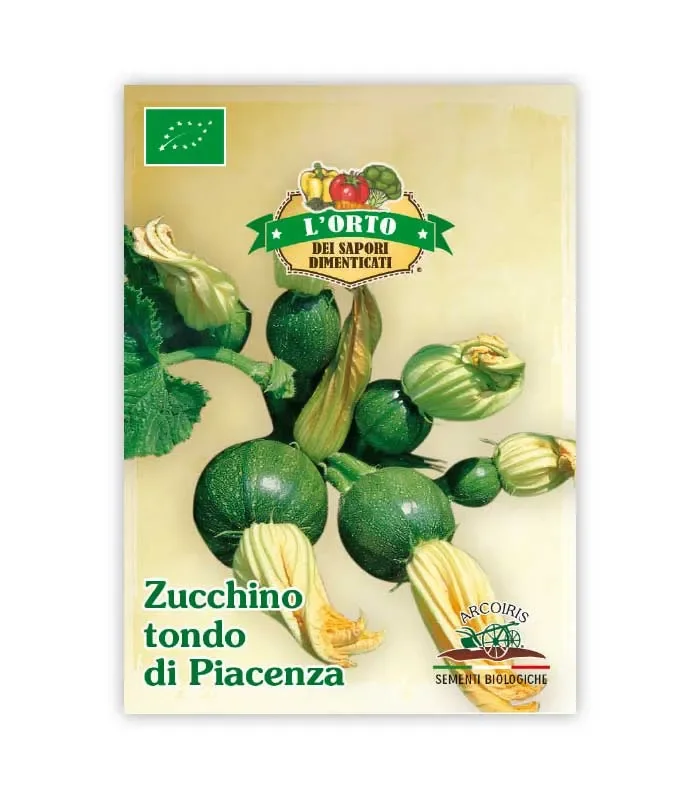 Semi da orto bio – Zucchino tondo di Piacenza