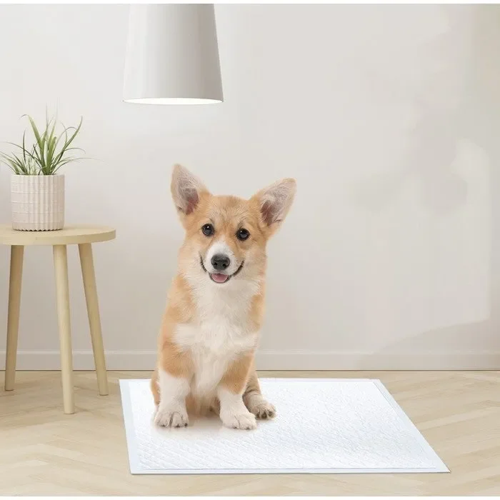 Tappetini assorbenti 60×60 cm – Assorbipiù - immagine 3