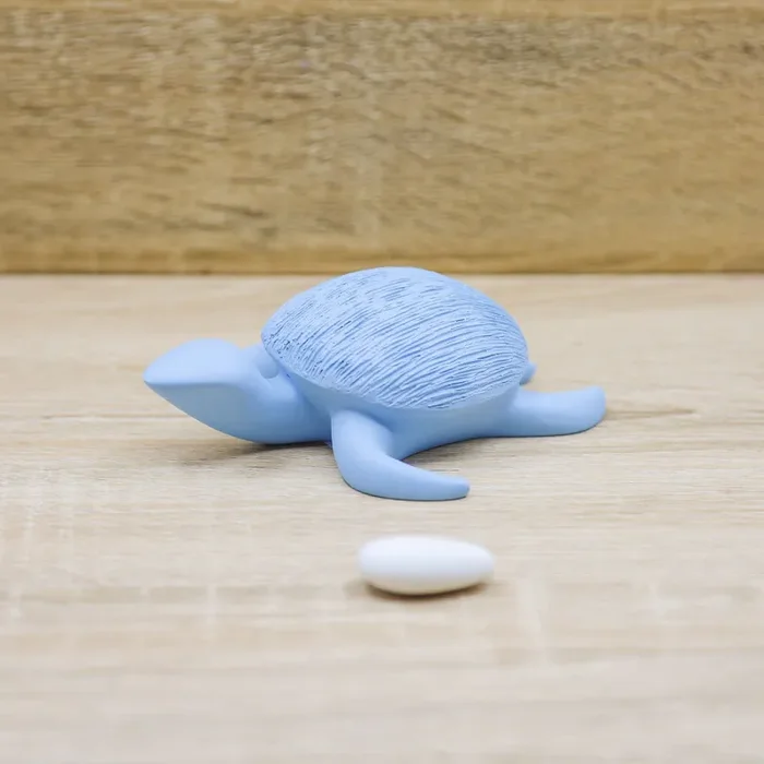 Tartaruga Azzurra Giovinarte Fornitura