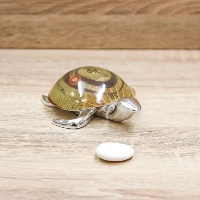 Tartaruga Classic Gattinoni