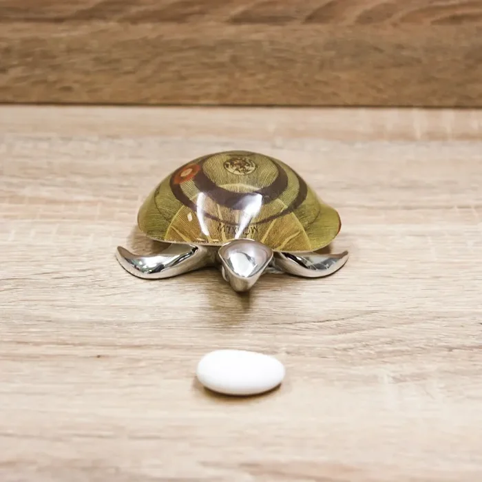 Tartaruga Classic Gattinoni - immagine 2