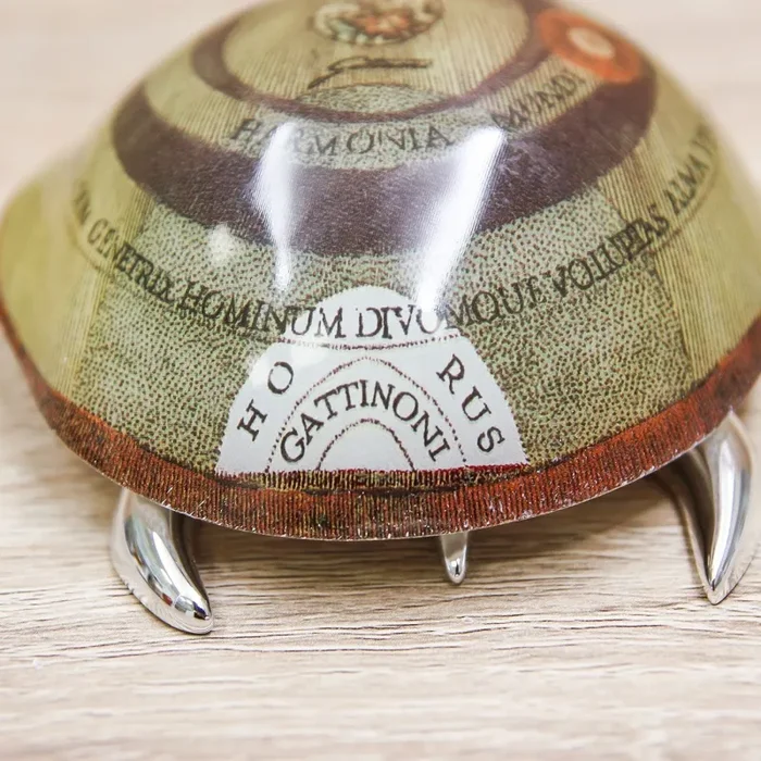 Tartaruga Classic Gattinoni - immagine 3