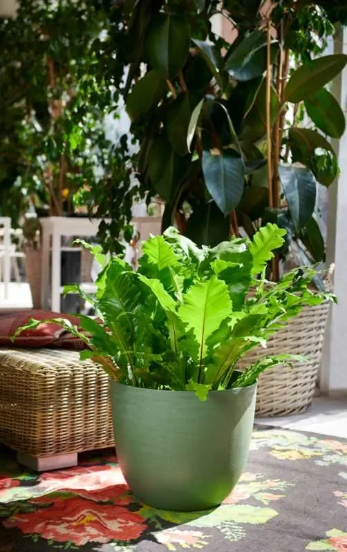 TeraPlast Vaso Over 48 Forest Plastica Riciclata Vendita online - immagine 3