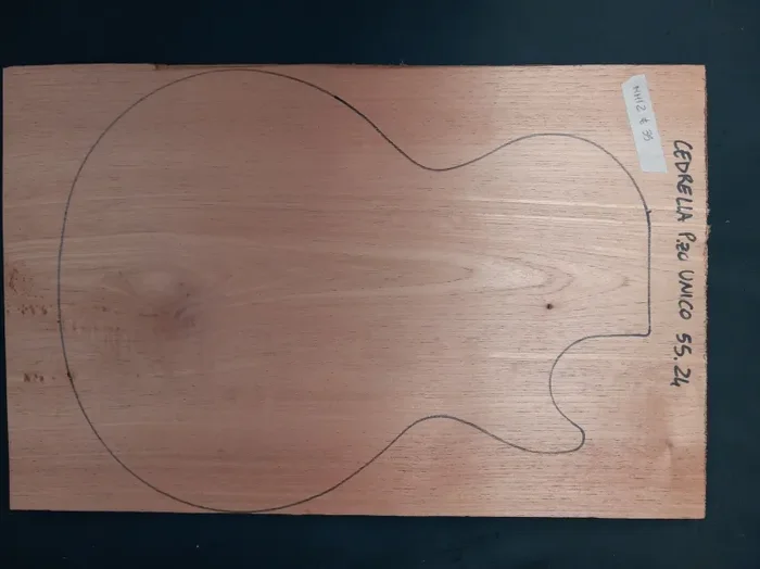 Top pezzo intero Cedrella