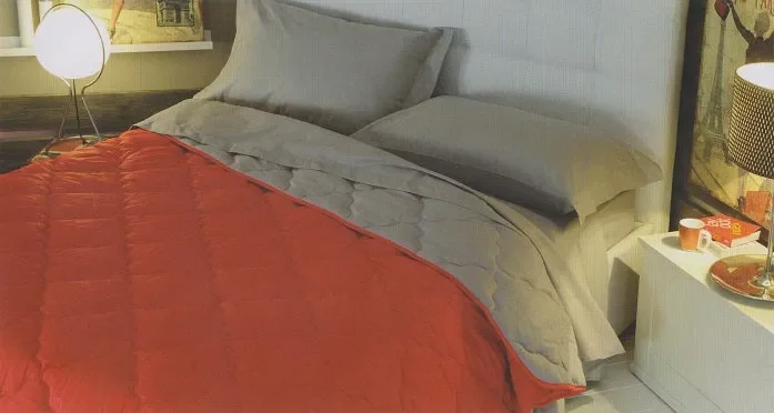 TRAPUNTA SINGOLA BIANCALUNA ART COLORED 175X270 CM COLORE A SCELTA Moda - immagine 2