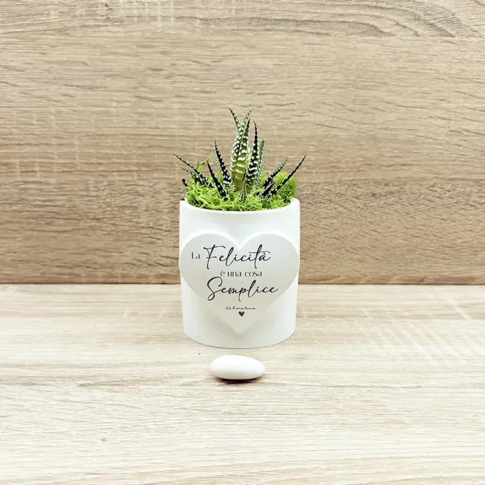 Vaso con Cuore e Piantina Claraluna In saldo