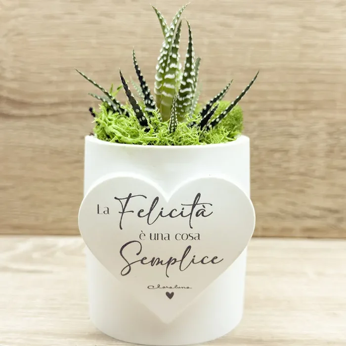 Vaso con Cuore e Piantina Claraluna In saldo - immagine 2