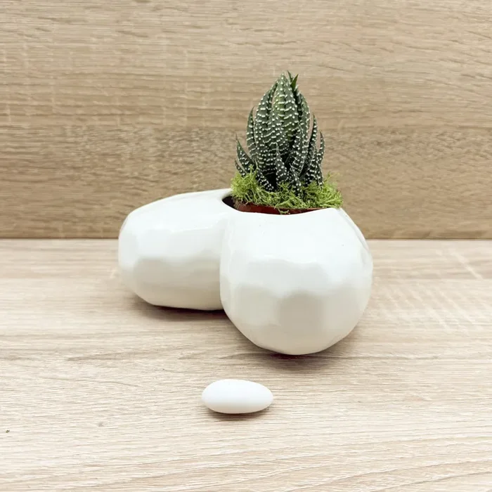 Vaso Cuore Bianco con Piantina e Muschio Claraluna Moda - immagine 2