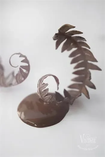 Warm Brown - immagine 2